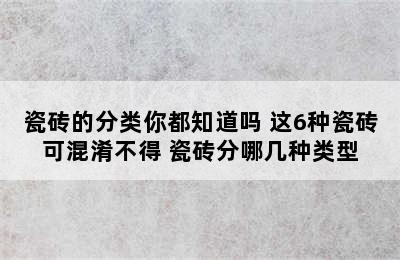 瓷砖的分类你都知道吗 这6种瓷砖可混淆不得 瓷砖分哪几种类型